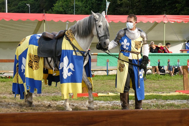 也成为城市 也成为城市