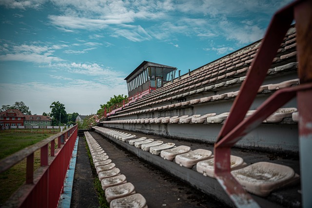 本文将为您 本文将为您
