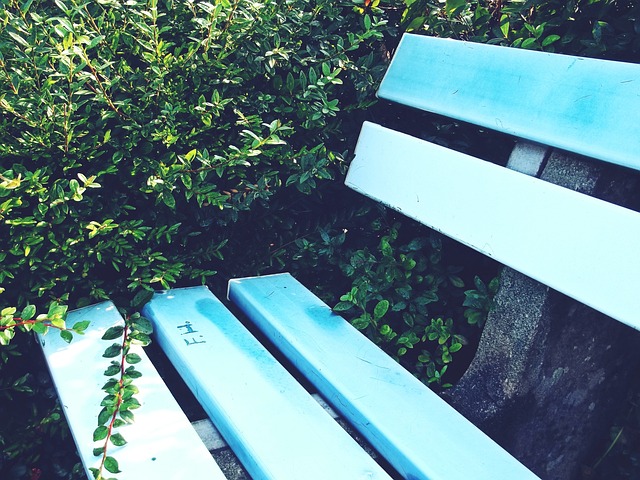 格限制糖分 格限制糖分