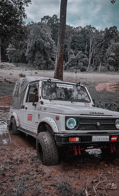 球队背书下 球队背书下