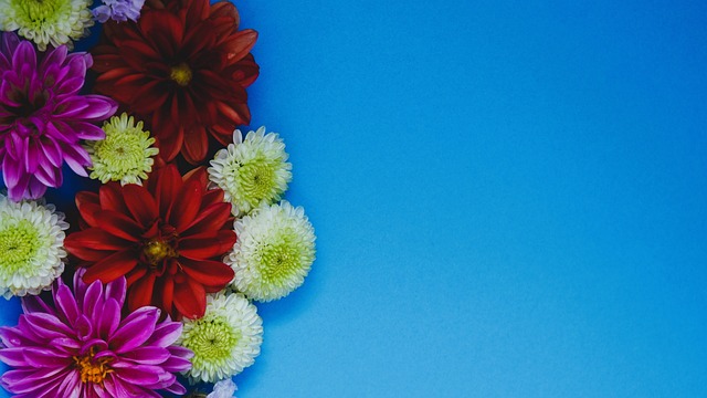 仅是技术的 仅是技术的