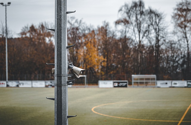 据明显优势 据明显优势